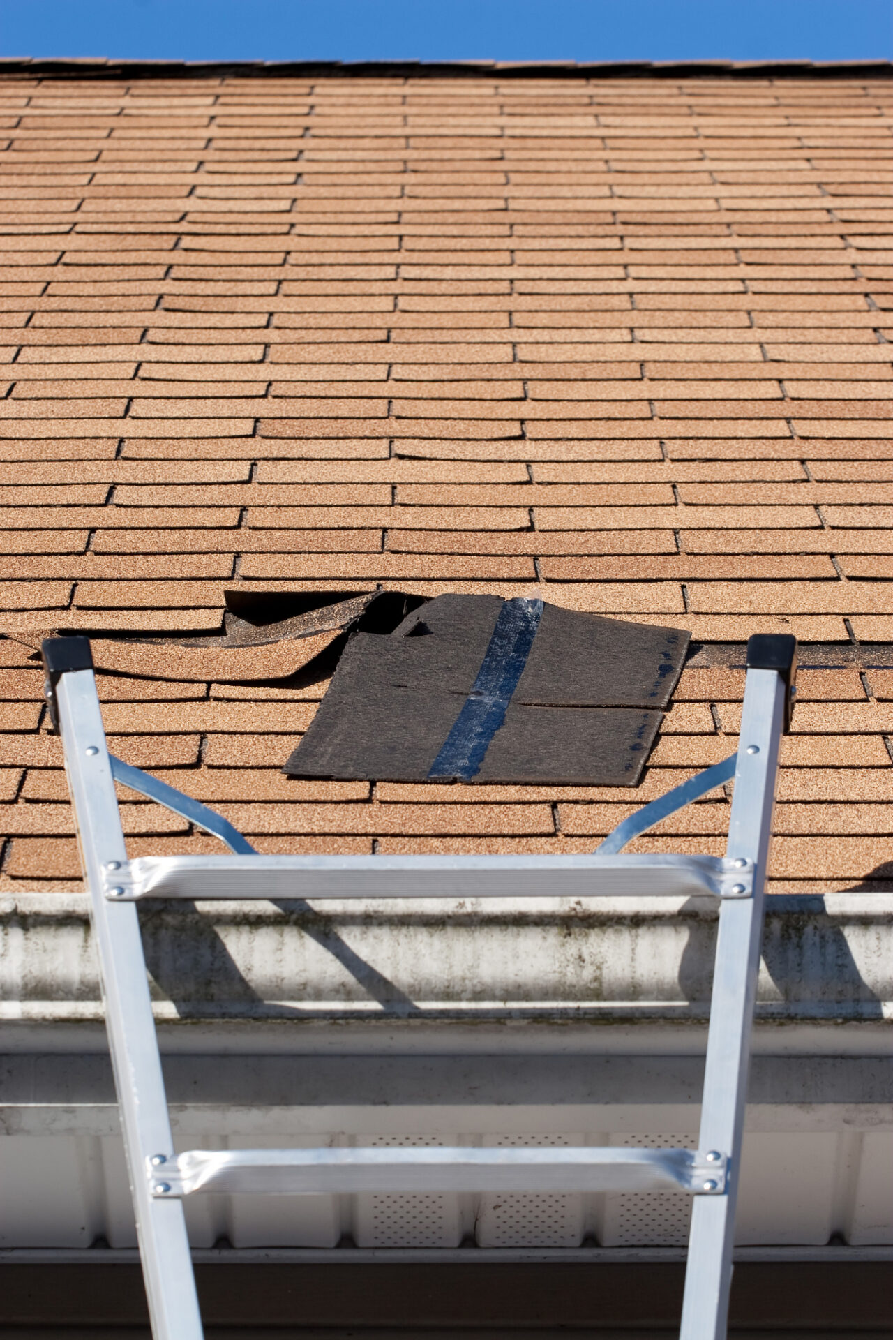 A ladder leans against a house gutter below a roof with damaged shingles, including one section of shingles partially peeled back.