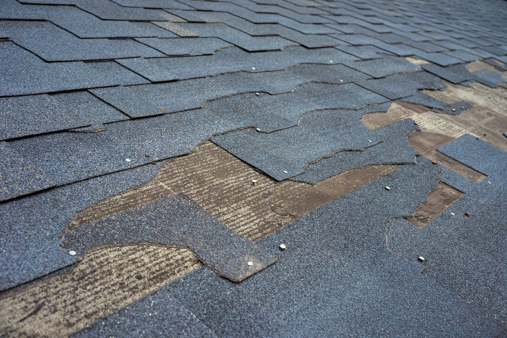 Roof Repair in Santa Clara TX
